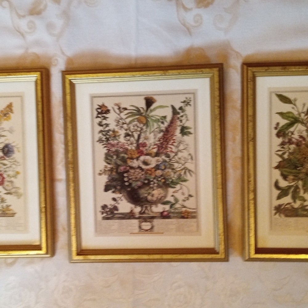 Robert Furber 12 months of flowers set of 3